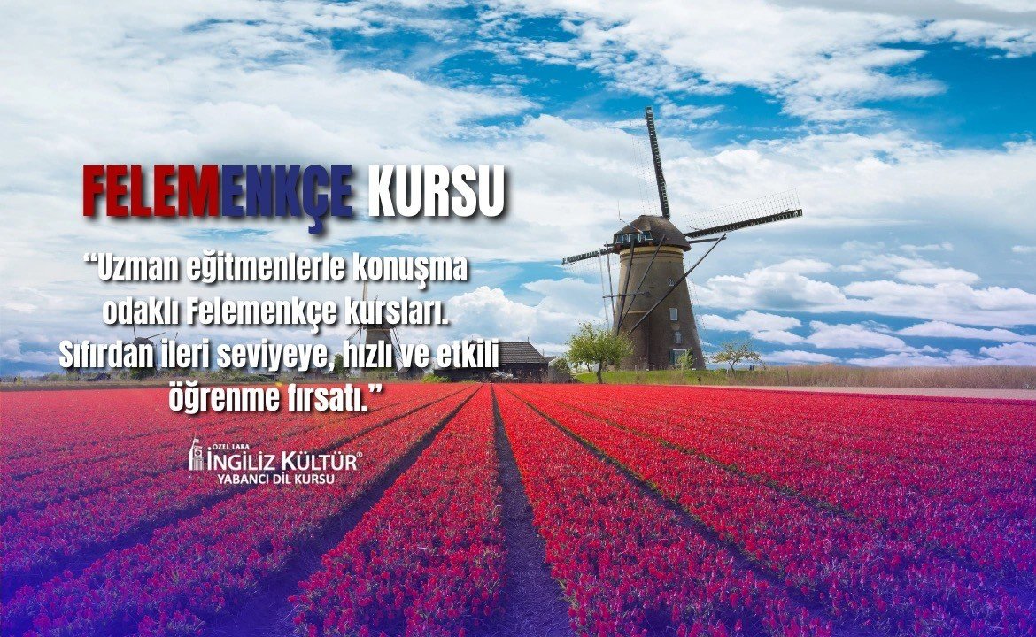 Felemenkçe Kursu